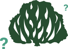 Logo IPB Logo IPB